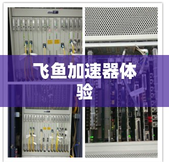 飞鱼加速器体验