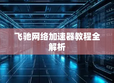 飞驰网络加速器教程全解析