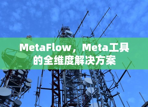 MetaFlow,Meta工具的全维度解决方案
