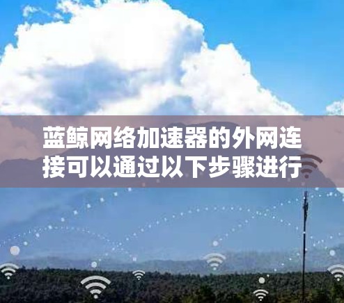 蓝鲸网络加速器的外网连接可以通过以下步骤进行配置