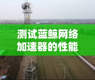 测试蓝鲸网络加速器的性能通常需要遵循以下步骤,确保测试结果准确且全面