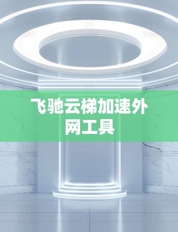 飞驰云梯加速外网工具 飞驰云梯加速外网工具