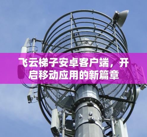 飞云梯子安卓客户端，开启移动应用的新篇章