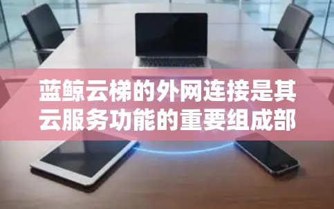 蓝鲸云梯的外网连接是其云服务功能的重要组成部分,以下是解决蓝鲸云梯外网连接问题的详细步骤 蓝鲸云梯的外网连接是其云服务功能的重要组成部分,以下是解决蓝鲸云梯外网连接问题的详细步骤