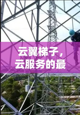云翼梯子，云服务的最佳选择，提升效率与成本的双优