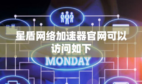 星盾网络加速器官网可以访问如下