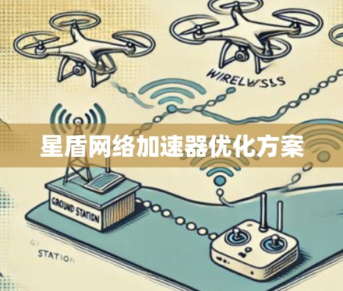 星盾网络加速器优化方案