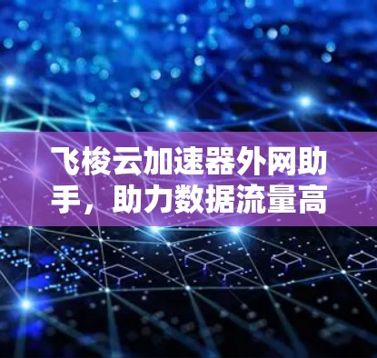 飞梭云加速器外网助手,助力数据流量高效管理