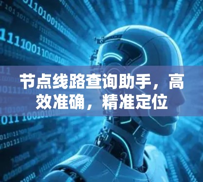 节点线路查询助手,高效准确,精准定位