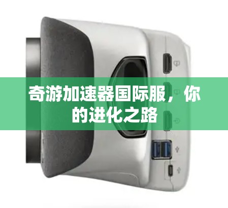 奇游加速器国际服，你的进化之路
