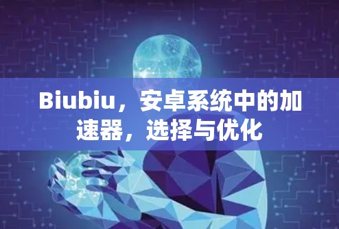 Biubiu，安卓系统中的加速器，选择与优化