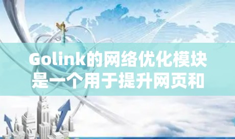 Golink的网络优化模块是一个用于提升网页和视频加载速度的工具,具体步骤如下