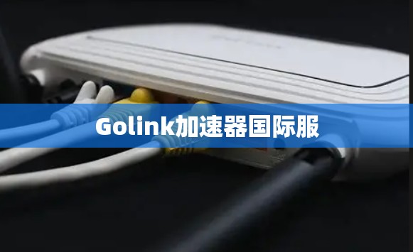 Golink加速器国际服 Golink加速器国际服