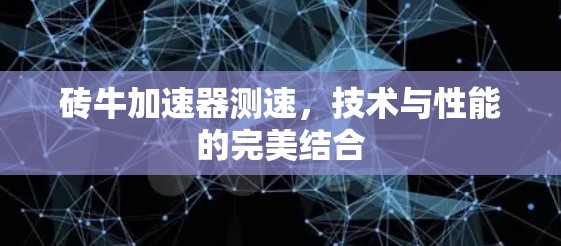 砖牛加速器测速,技术与性能的完美结合