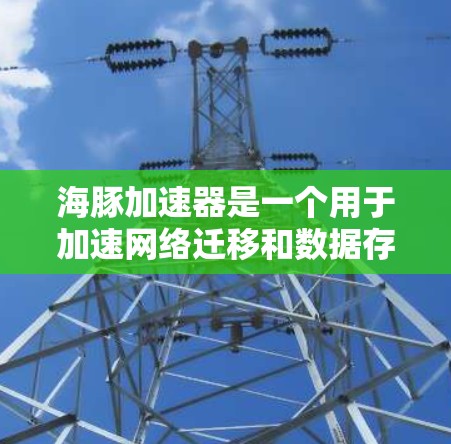 海豚加速器是一个用于加速网络迁移和数据存储优化的工具，通常指一个能够高效处理大规模数据迁移、云存储和数据存储迁移的软件。如果你指的是海豚加速器在海外网络环境下的应用，以下是关于它的详细介绍
