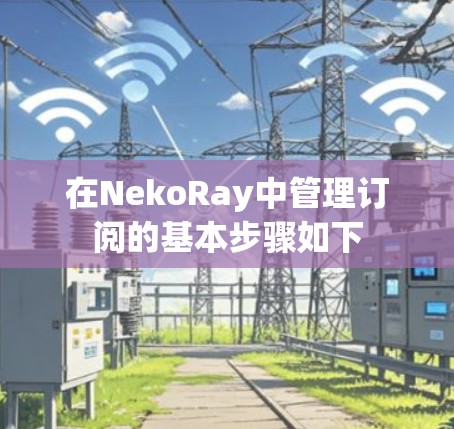 在NekoRay中管理订阅的基本步骤如下