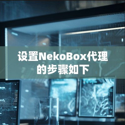 设置NekoBox代理的步骤如下
