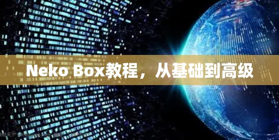 Neko Box教程，从基础到高级