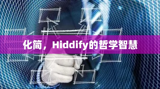 化简,Hiddify的哲学智慧