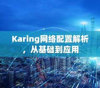Karing网络配置解析,从基础到应用