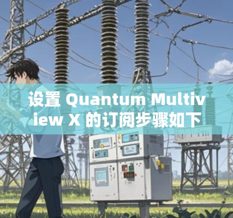 设置 Quantum Multiview X 的订阅步骤如下