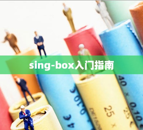 sing-box入门指南 sing-box入门指南