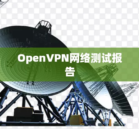 OpenVPN网络测试报告