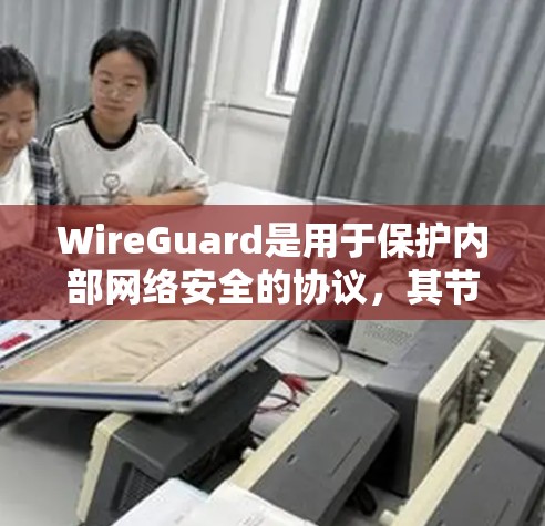 WireGuard是用于保护内部网络安全的协议,其节点设置包括多个参数和选项,确保数据在节点间传输的安全性。以下是对WireGuard节点设置的详细总结