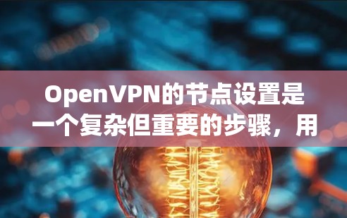 OpenVPN的节点设置是一个复杂但重要的步骤,用于确保数据在网络安全层(Layer 3)中得到加密和传输。以下是对节点设置的详细说明
