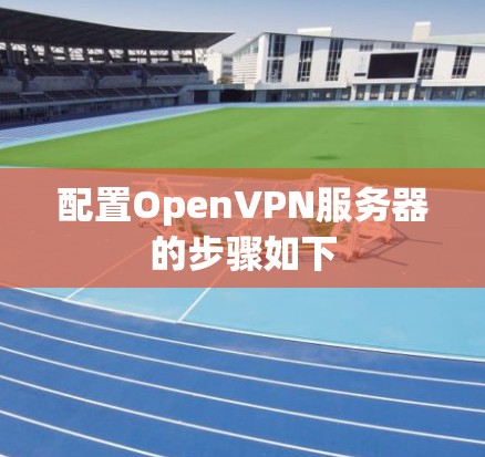 配置OpenVPN服务器的步骤如下