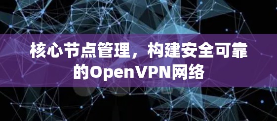 核心节点管理,构建安全可靠的OpenVPN网络