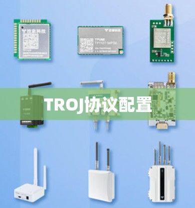 TROJ协议配置 TROJ协议配置