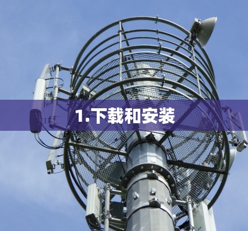 1.下载和安装
