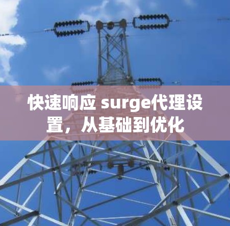 快速响应 surge代理设置，从基础到优化