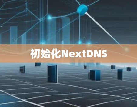 初始化NextDNS