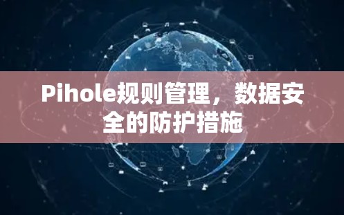 Pihole规则管理,数据安全的防护措施