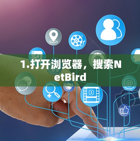 1.打开浏览器,搜索NetBird
