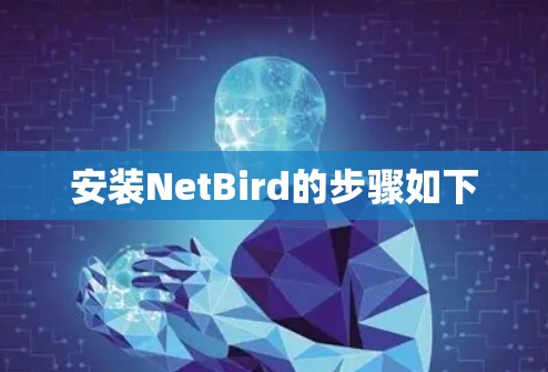 安装NetBird的步骤如下