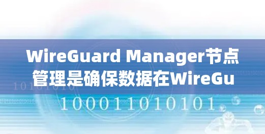 WireGuard Manager节点管理是确保数据在WireGuard网络中安全传输的核心操作。以下是详细的Node管理流程和关键点