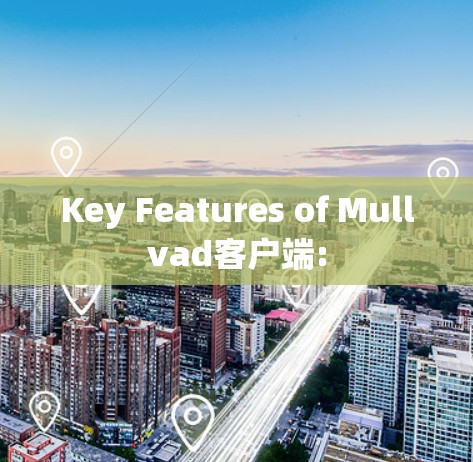 Key Features of Mullvad客户端: