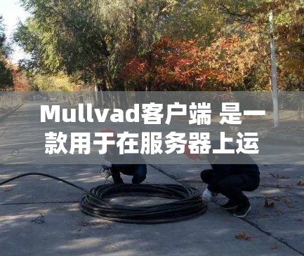 Mullvad客户端 是一款用于在服务器上运行的客户端应用工具，主要用于游戏开发、测试环境、云服务管理等场景。以下是设置Mullvad客户端的详细步骤和设置建议